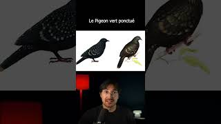 LES ANIMAUX QU’ON AURAIT VU QU’UNE SEULE FOIS #insolite