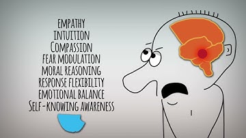 The Science of Difficult Conversations  Part 2