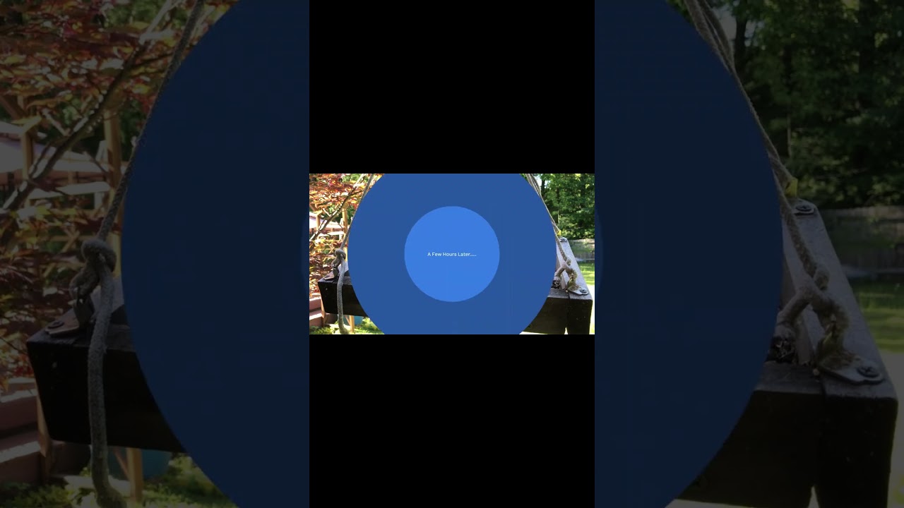 3 Tips to Attract Birds to a Birdbath FAST! -  