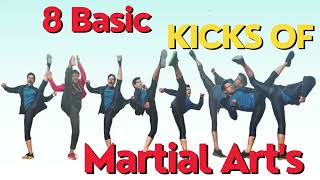 8 Basic Kicks of Martial Art's