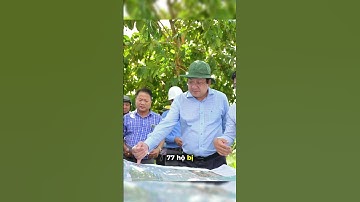 TP.HCM giải tỏa trắng 222 hộ dnaa để làm đường 6 làn xe ở cửa ngõ Tây Bắc