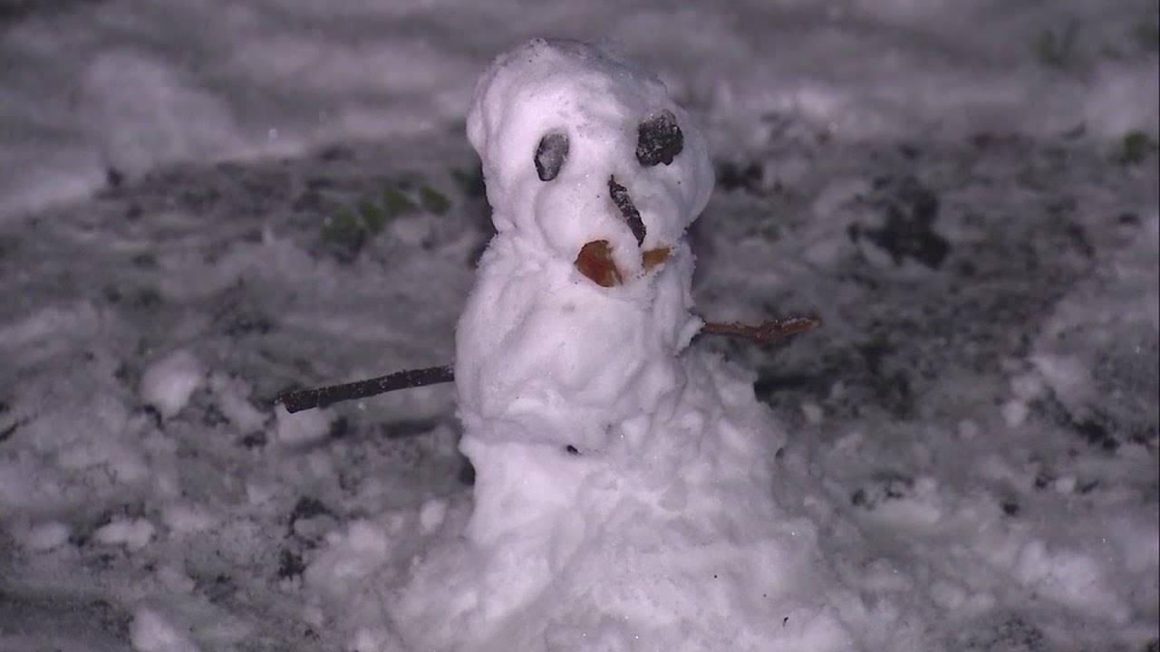 PHOTOS: Bay Area turns into winter wonderland