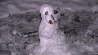 PHOTOS: Bay Area turns into winter wonderland