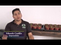 Periódico ABC/ Las plantas carnívoras