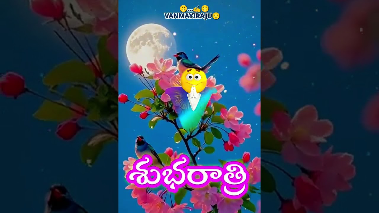 😊 శుభరాత్రి😊
