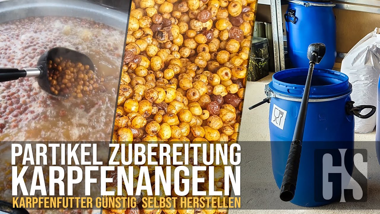 Karpfenfutter - Partikel selber zubereiten - Tigernüsse, Mais, Hanf uvm. kochen und lagern l 2021