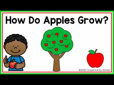 सेब कैसे बढ़ते हैं? (Apple जीवन चक्र)