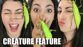 GIANT Stick Insect | Jungle Nymph | Creature Feature