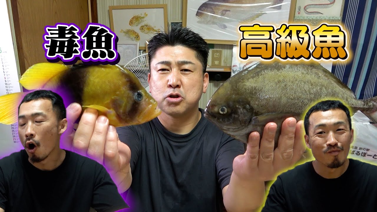 【これが本当の毒味です！】毒のある魚を一緒に食べてみた結果がやばすぎた！