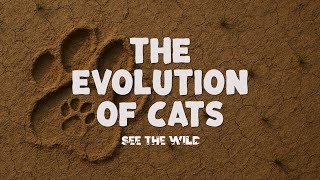 🐯 The 30-Million-Year Evolution of Cats 🐾 From Saber-Tooths to House Cats