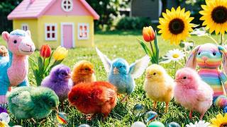 Ayam Warna Warni Dan Bebek, Ayam Warna Warni Besar, Ayam Pelangi-pelangi, Kura Kura Besar