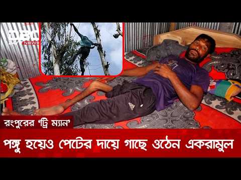 এক পায়ে লাফিয়ে ওঠেন গাছের মগডালে, রংপুরের ‘ট্রি ম্যানের’ অবিশ্বাস্য জীবনযুদ্ধ | DBC NEWS Special