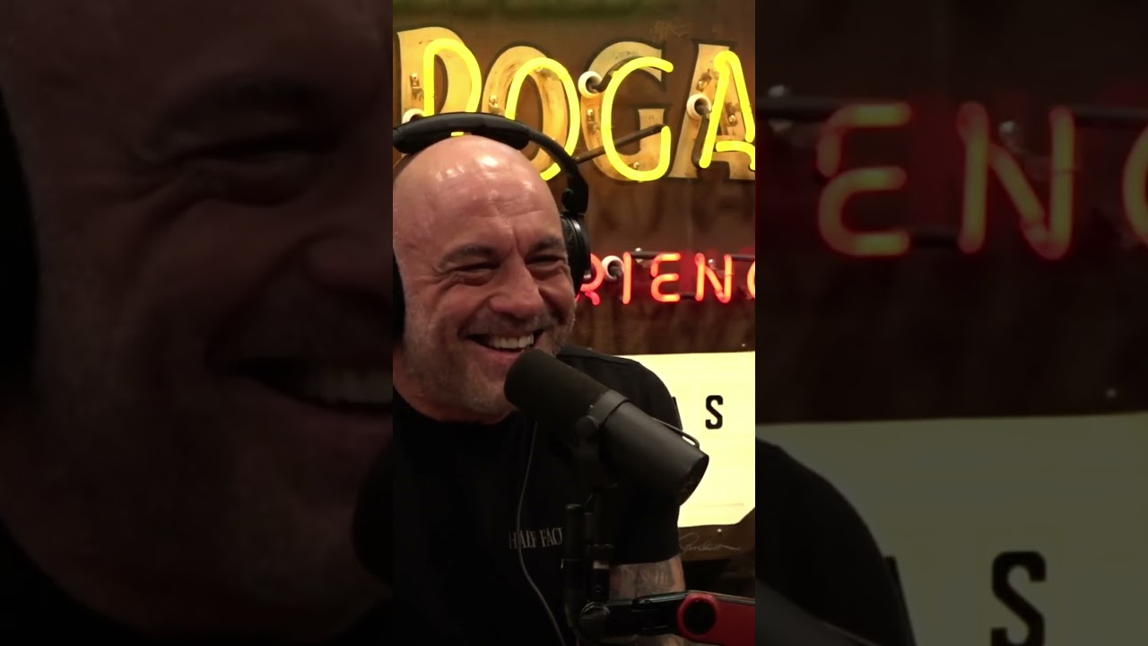 AI CEOs Say AI Will Kill Us