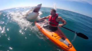 Si Tienes Miedo a los Tiburones, no vea este Video