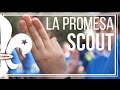 La promesa scout  un scout