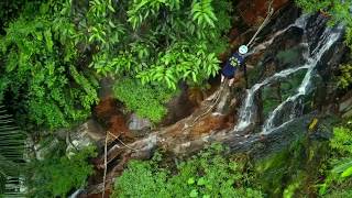 Pure Tropical Rainforest in Sanya