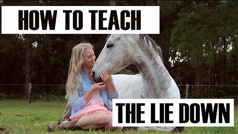 How To Teach Your Horse to Lie Down (no ropes)