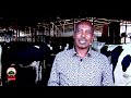 Mul Ata Warshaa Qindaa Aa Qonnaa Hundeeffachuun Barbaada Mul Ata Warshaa Qindaa Aa Qonnaa Hundeeffachuun Barbaada