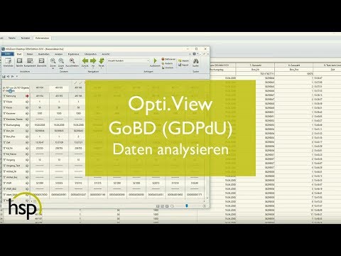 Opti.View - GoBD (GDPdU) Daten analysieren