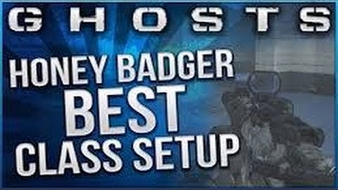 CoD Ghost Best Class Setup : Honey Badger