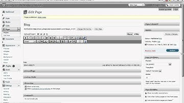 WordPress Static Home Page