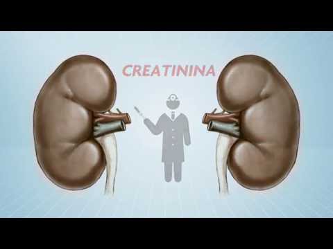 Vídeo: Qual condição é causada pela isquemia dos rins?