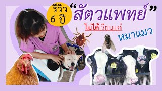 (รีวิว) เด็กสัตวแพทย์เค้าเรียนอะไรกันบ้างตลอด 6 ปี มาดูกัน! | TEETEE V.