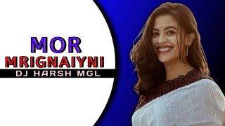 Mor Mrignaiyani - Super Hit Chhattisgarhi Album - Jukebox Full Song Laxmi Narayan Pande Dj Harsh Mgl