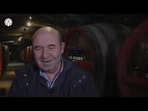 The Making of Kosher Gevrey-Chambertin Wine From Burgundy, France