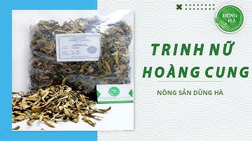 Trinh nữ hoàng cung có tác dụng gì và trị được bệnh gì?