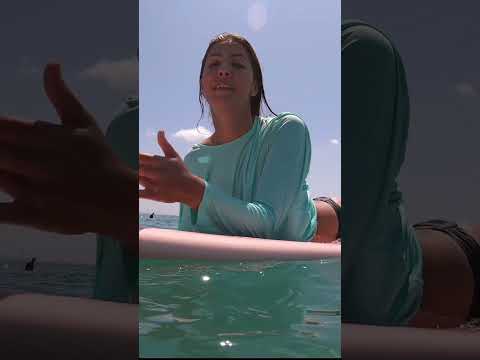 CЁРФ И ТРЕВЕЛ КЭМП НА БАЛИ - АКТИВНЫЙ ОТДЫХ ДЛЯ ВЗРОСЛЫХ!