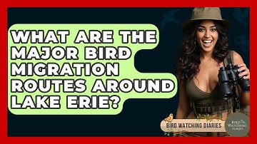 What Are The Major Bird Migration Routes Around Lake Erie? - Bird Watching Diaries