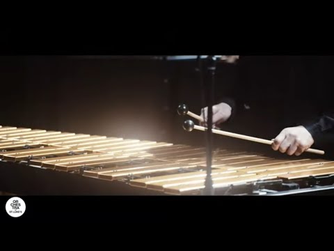 OSLive: Julius Eastman's Femenine (1974) | Full Performance | Orchestra of St. Luke's
