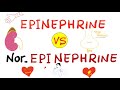 Epinephrine Vs Nor Epinephrine Adrenaline Vs Noradrenaline Autonomic Physiology Pharmacology Epinephrine Vs Nor Epinephrine Adrenaline Vs Noradrenaline Autonomic Physiology Pharmacology