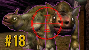 DID YOU SHOOT THE COW?! - Let