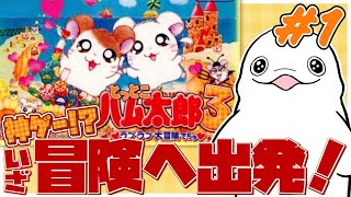 【とっとこハム太郎3】シロイルカ、いざハム太郎さんの世界へ！ #1 【白・まろやか】