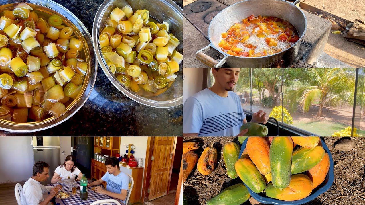 Colhi varios mamão, fiz doce enroladinho e doce de pedaço + almoço/ recemos notícia muito boa🎉