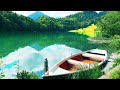 Relaxing Music To Relief All Stress & Beautiful Nature ☘️ Positive Energy To Mind-Body & Soul