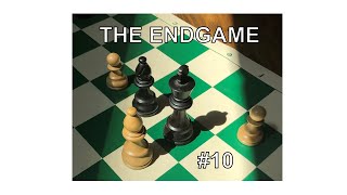 Endgame #10  Puzzles