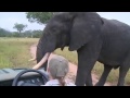 Super Close Male Elephant Encounter on WildEarth Live Safari