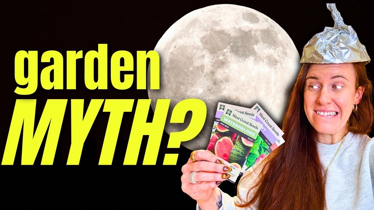 3 САМЫХ РАСПРОСТРАНЕННЫХ мифа о выращивании рассады… Правда или нет?