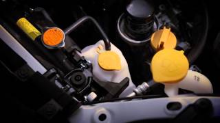 Checking Your Subaru's Engine Coolant and Tips
