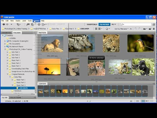 3 1 Creating A Contact Sheet Adobe Photoshop Cs4 Video Youtube