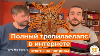 видео: Полный тропилаелапс в интернете. Ответы на вопросы про тропи, запрет и карантин. картинка: Полный тропилаелапс в интернете. Ответы на вопросы про тропи, запрет и карантин.