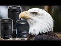 3 NEW TAMRON LENSES At The ZOO, How'd They Do? (18-400, 100-400, 24-70 G2)