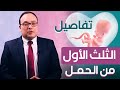 كل ما يخص التلت الأول من الحمل