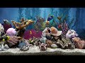 Very relaxing fish tank aquarium with water sound for focus  no music 