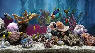 Very Relaxing Fish Tank Aquarium With Water Sound For Focus | No Music | HD screenshot 1