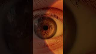 Eyes are so crazy #eyes #browneyes  #closeup #shorts