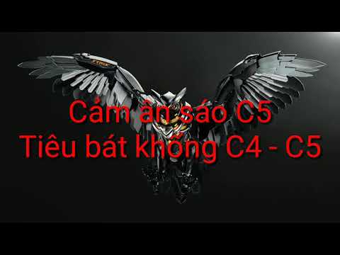 Cảm Âm Tuý Hồng Nhan C5